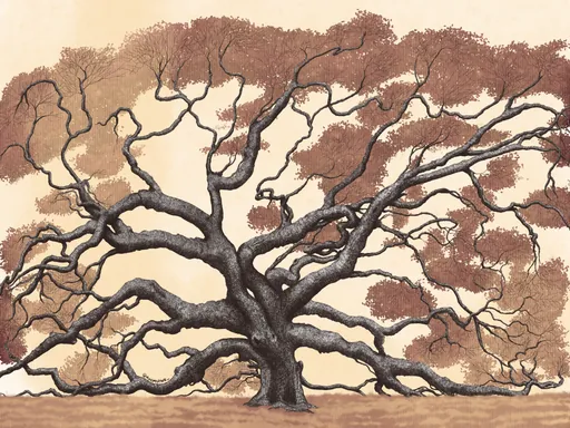 A wide, sprawling live oak with rust-brown autumn leaves.