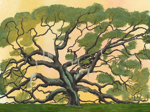 The same sprawling oak in summer greens against a yellow sky.